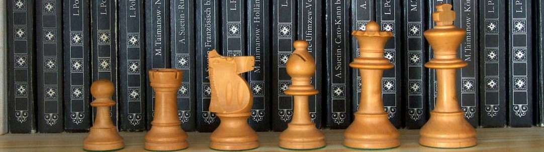 Schach lernen